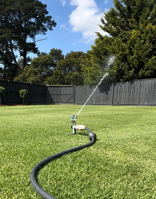 Lawn watering 101
