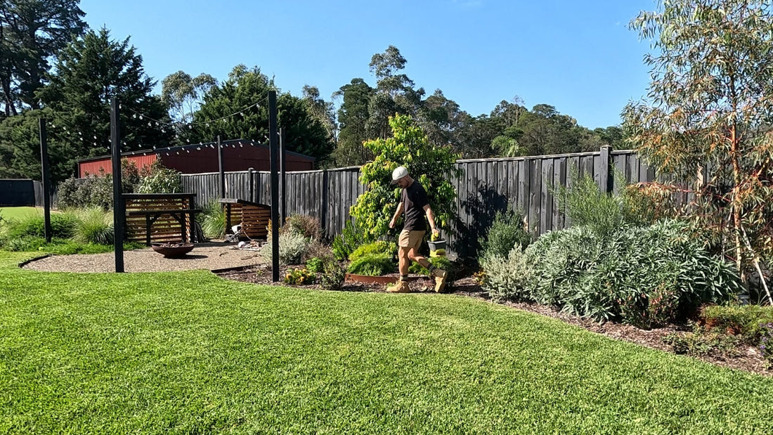 How to use a spreader for your lawn