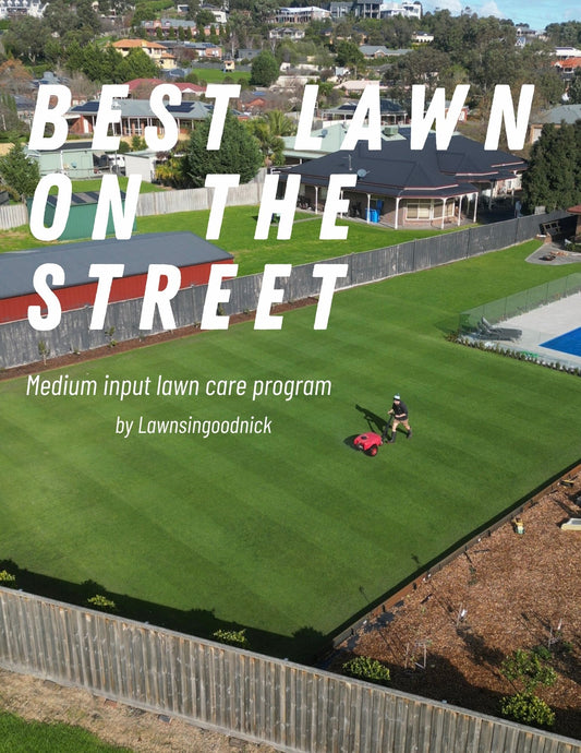Best Lawn On The Street - Program