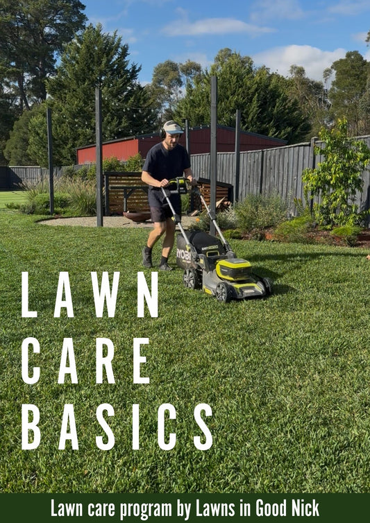 FREE Beginners guide to lawn care