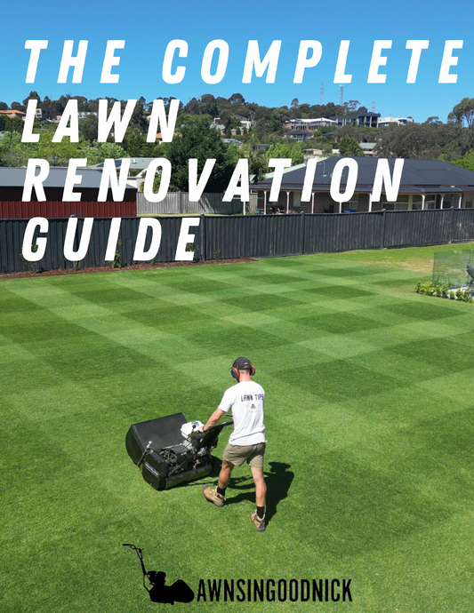 The Complete Lawn Renovation Guide